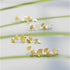 Ginkgo Climber Earrings